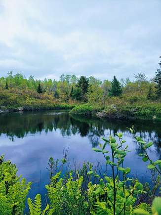 70.6 Acres of Recreational Land for Sale in Cherryfield, Maine