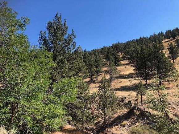 160 Acres of Recreational Land for Sale in Dayville, Oregon