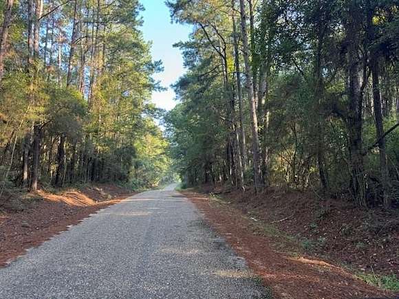 8.56 Acres of Land for Sale in Tylertown, Mississippi