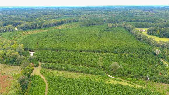 163.8 Acres of Land for Sale in Walterboro, South Carolina