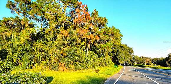 1.26 Acres of Residential Land for Sale in Yalaha, Florida