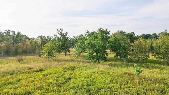 60 Acres of Recreational Land for Sale in Rudolph, Wisconsin