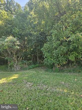 10.05 Acres of Land for Sale in Ridgely, Maryland