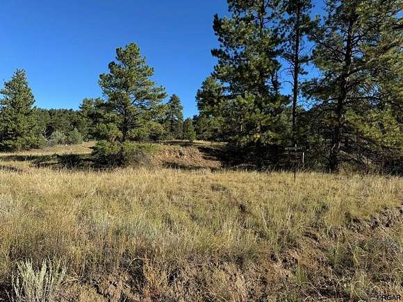 5.14 Acres of Residential Land for Sale in Cotopaxi, Colorado