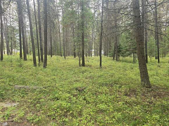 1.046 Acres of Residential Land for Sale in St. Regis, Montana