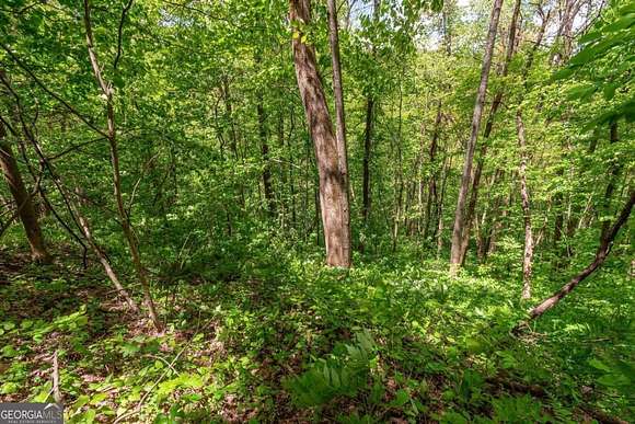 3 Acres of Land for Sale in Jasper, Georgia