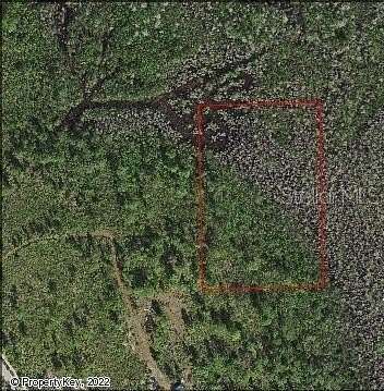 3.9 Acres of Recreational Land for Sale in St. Cloud, Florida