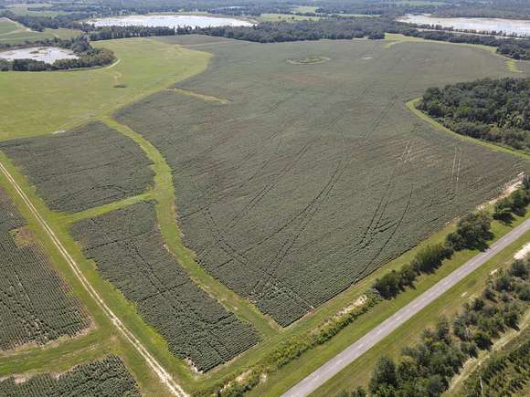 554 Acres of Recreational Land & Farm for Sale in Donalsonville, Georgia