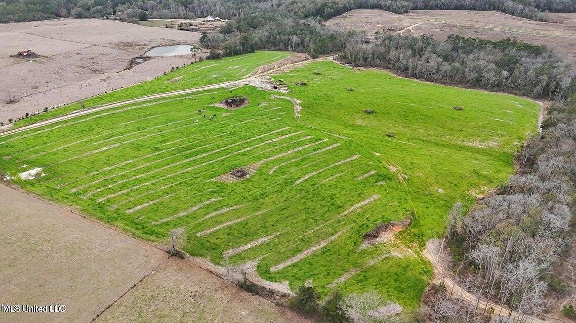 110 Acres of Agricultural Land for Sale in Lucedale, Mississippi