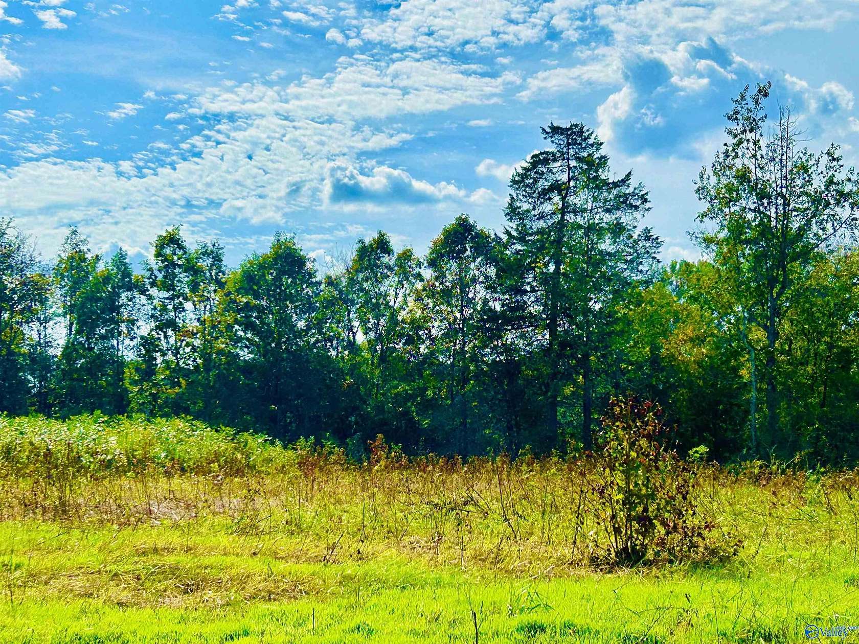 22 Acres of Land for Sale in Hartselle, Alabama