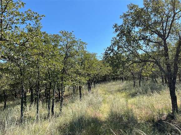 4.991 Acres of Residential Land for Sale in Bowie, Texas