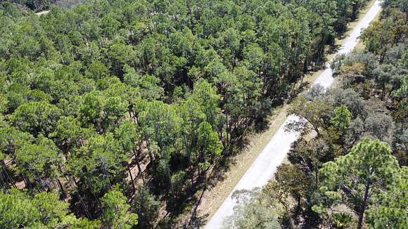 0.25 Acres of Residential Land for Sale in Dunnellon, Florida