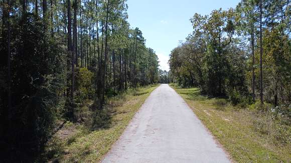 0.25 Acres of Residential Land for Sale in Dunnellon, Florida