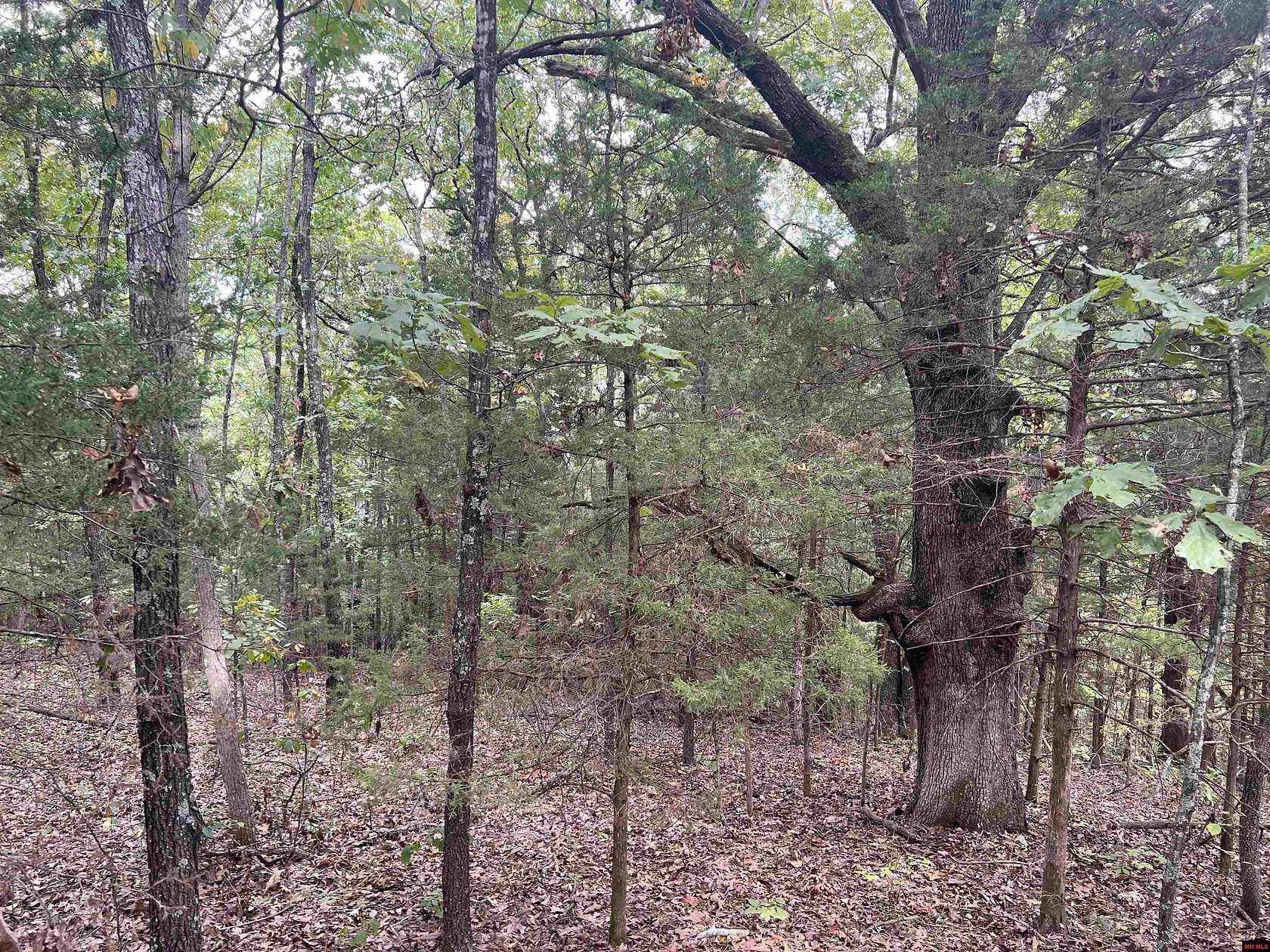 3.43 Acres of Land for Sale in Harrison, Arkansas