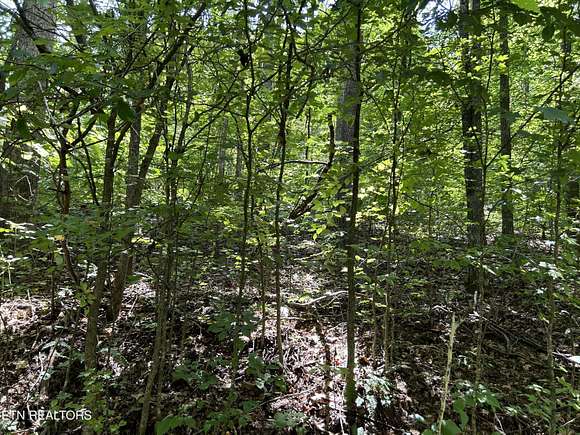 0.6 Acres of Residential Land for Sale in Maynardville, Tennessee