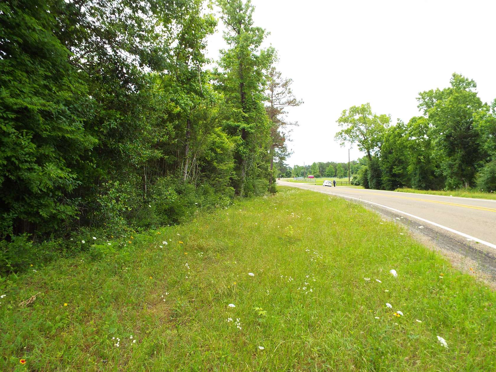 3.01 Acres of Residential Land for Sale in Coldspring, Texas