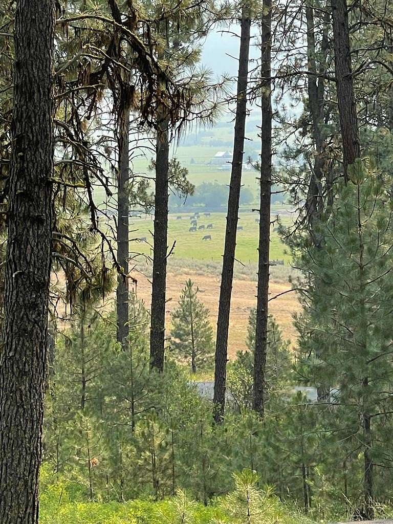 0.58 Acres of Residential Land for Sale in New Meadows, Idaho