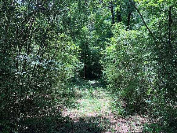 7 Acres of Land for Sale in Sandy Hook, Mississippi