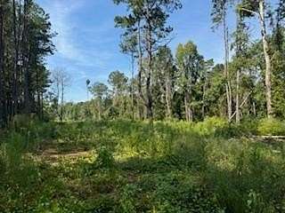 45 Acres of Land for Sale in Laurel, Mississippi