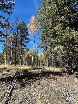 0.6 Acres of Residential Land for Sale in Florissant, Colorado