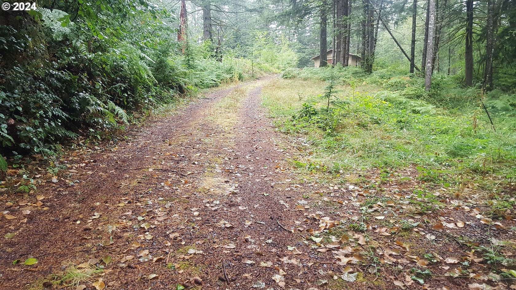 6 Acres of Land for Sale in Camas, Washington