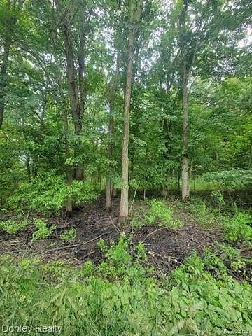 15 Acres of Land for Sale in Silverwood, Michigan