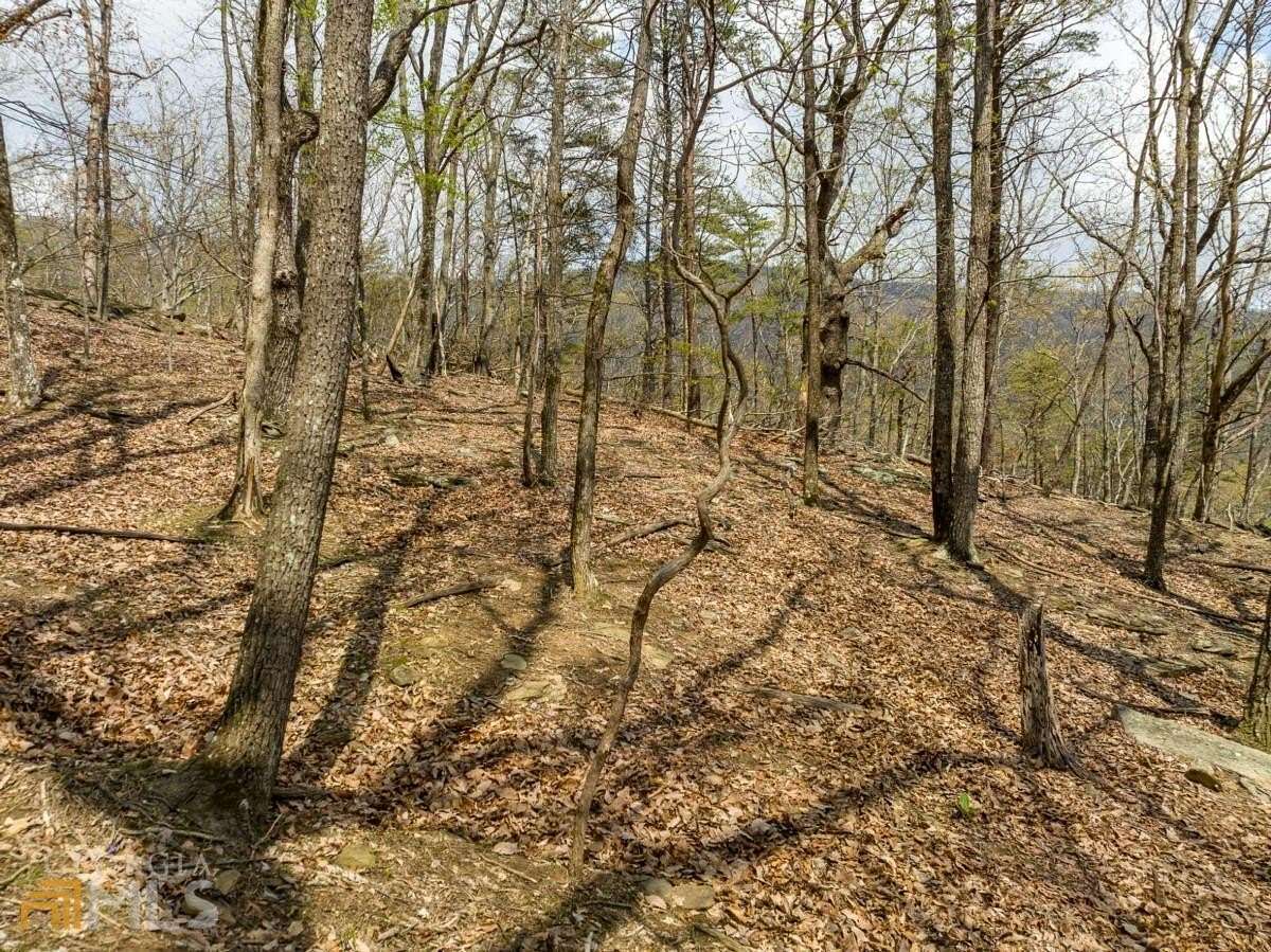 2 Acres of Residential Land for Sale in Jasper, Georgia