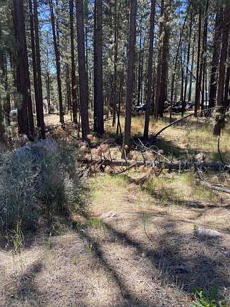 0.14 Acres of Residential Land for Sale in Portola, California