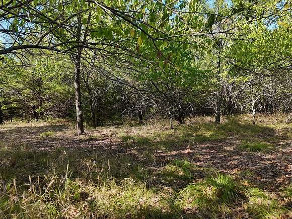 19.27 Acres of Recreational Land for Sale in Honey Grove, Texas