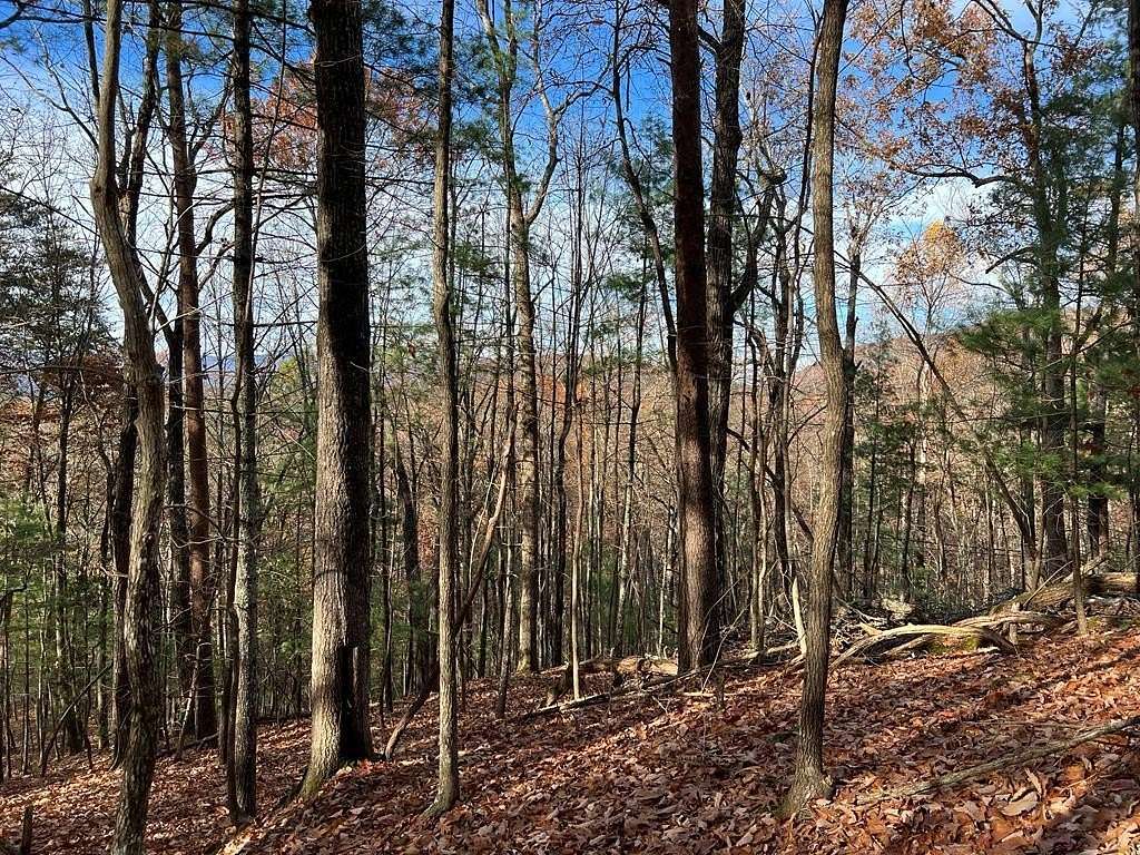 0.629 Acres of Residential Land for Sale in Ellijay, Georgia