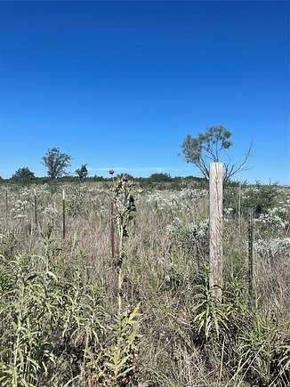 10 Acres of Residential Land for Sale in Gainesville, Texas