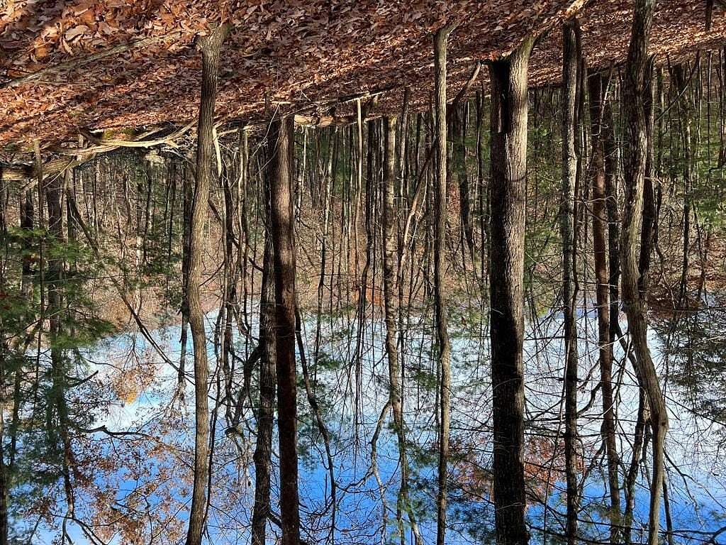 1 Acre of Land for Sale in Ellijay, Georgia