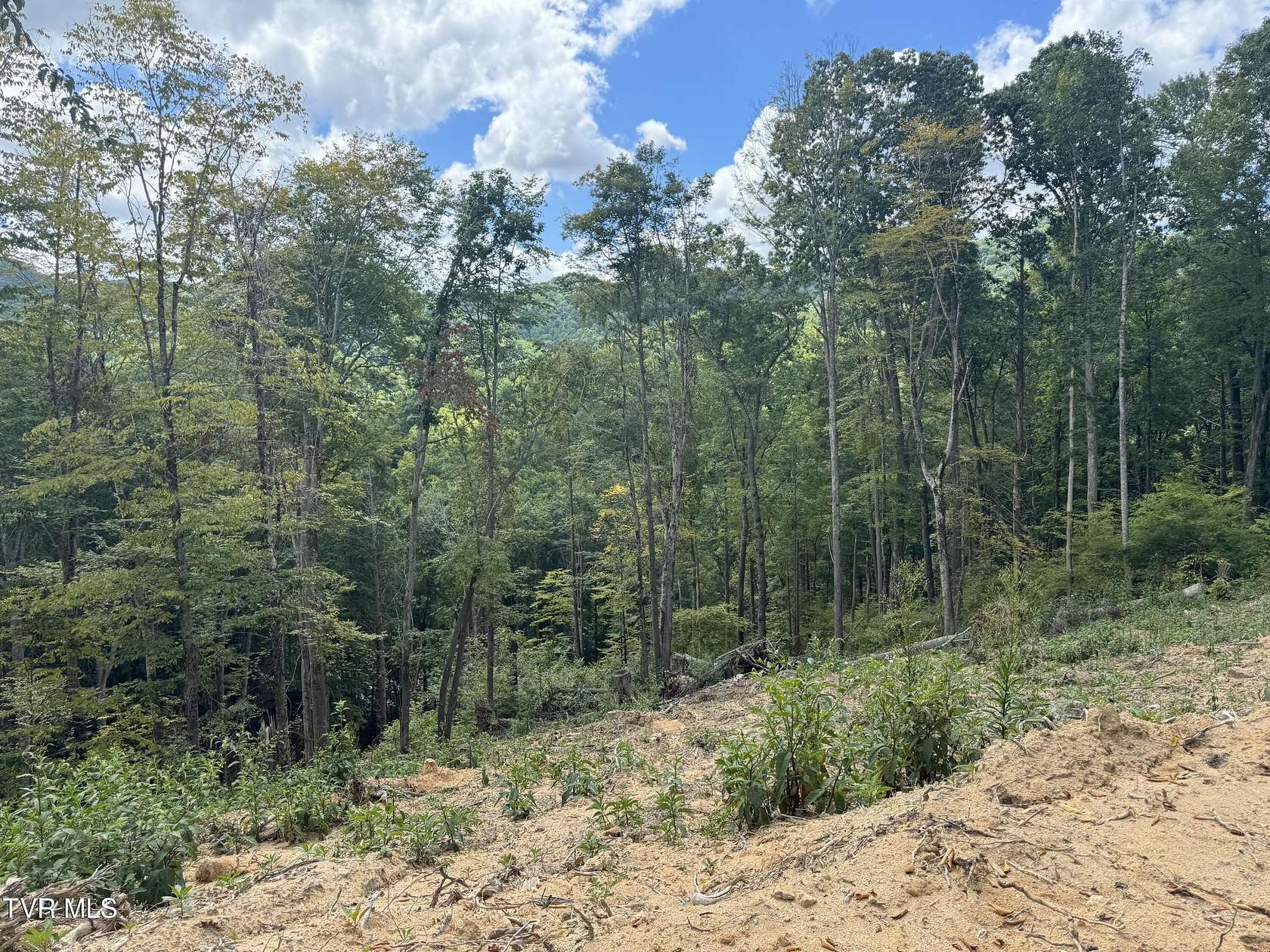 6 Acres of Residential Land for Sale in Roan Mountain, Tennessee