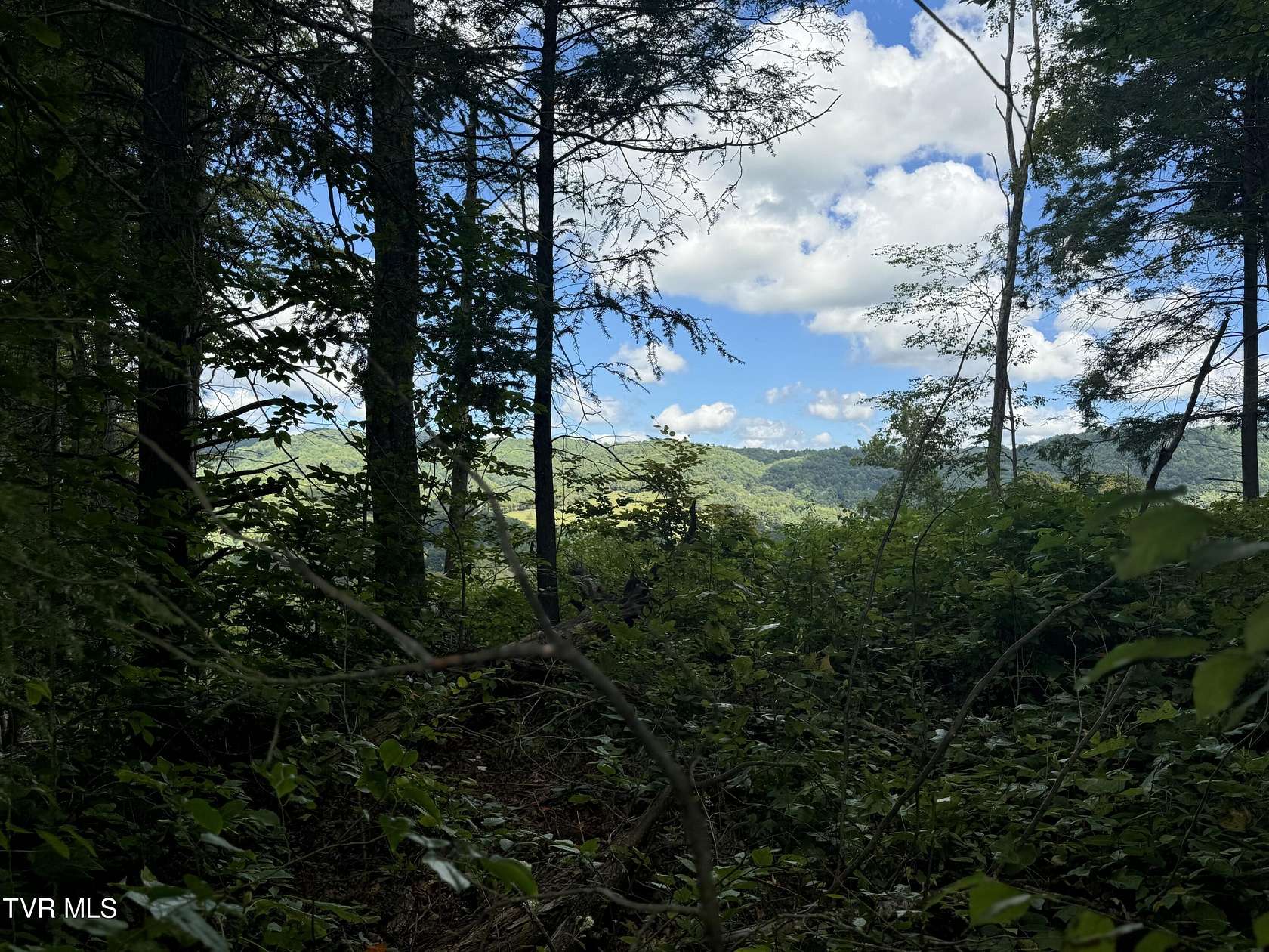6 Acres of Residential Land for Sale in Roan Mountain, Tennessee