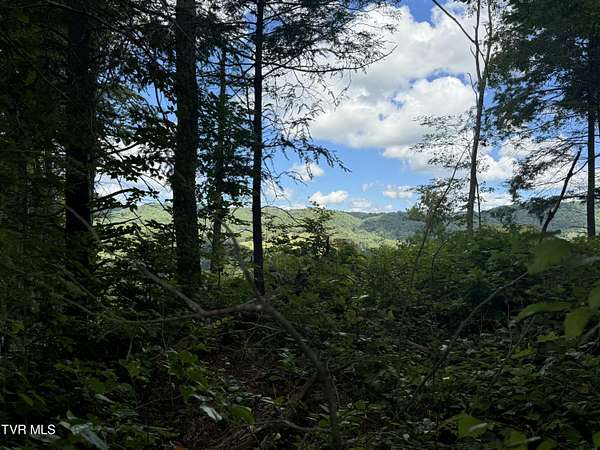 6 Acres of Residential Land for Sale in Roan Mountain, Tennessee