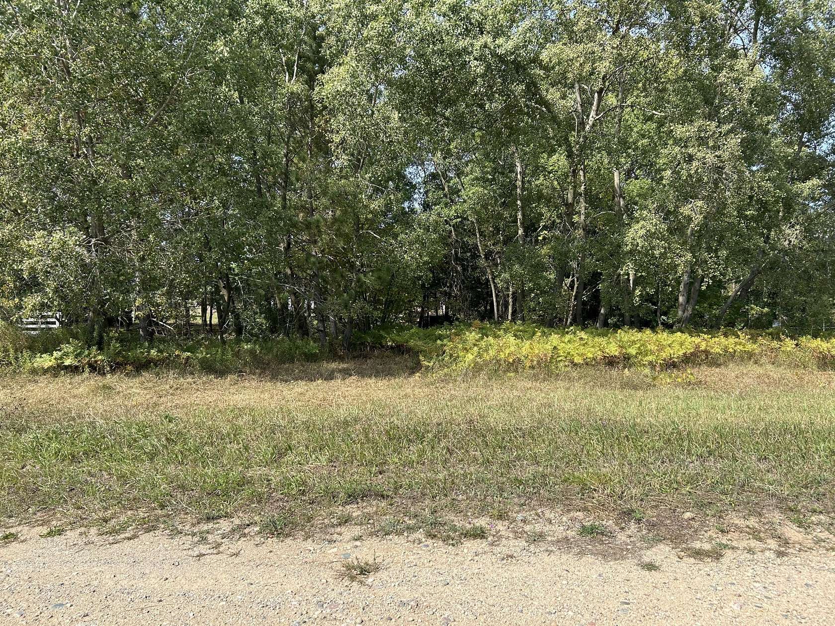 1 Acre of Residential Land for Sale in Stanwood, Michigan