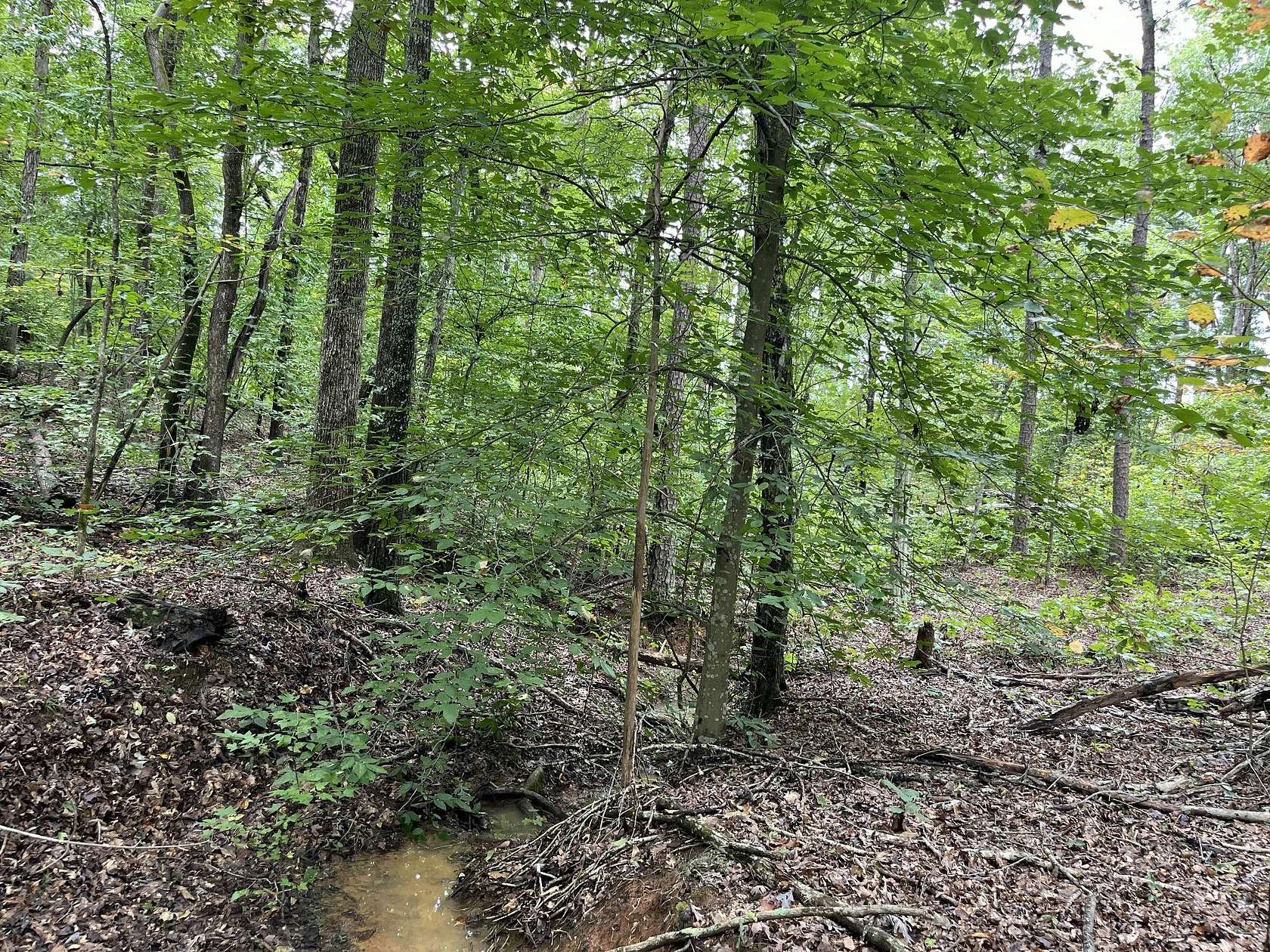 28.57 Acres of Recreational Land for Sale in Randolph, Virginia