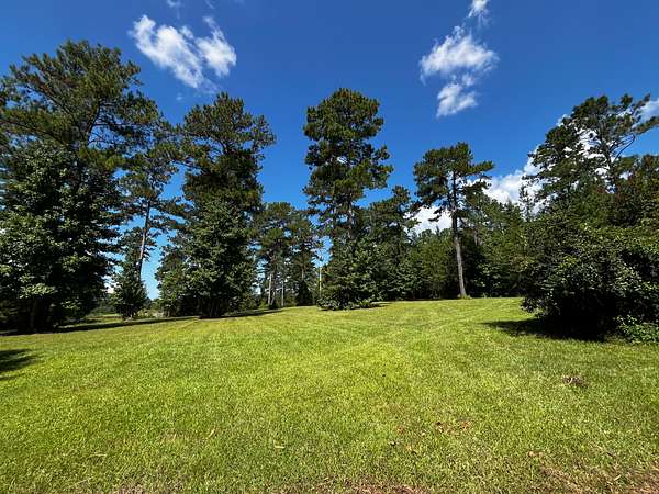 67.4 Acres of Recreational Land for Sale in Havana, Florida
