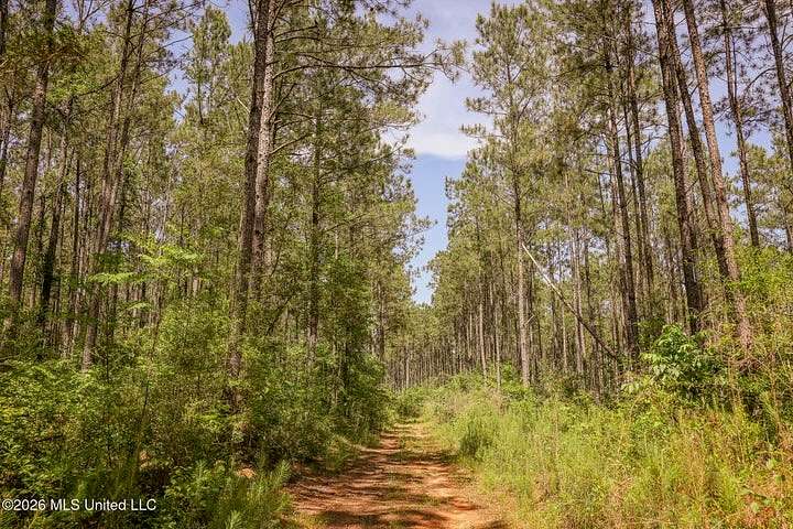 120 Acres of Land for Sale in Liberty, Mississippi