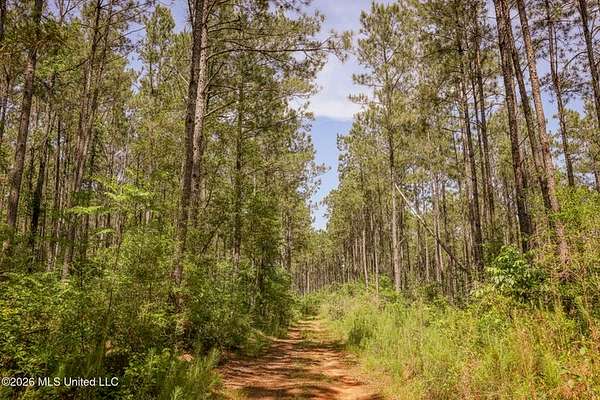 120 Acres of Land for Sale in Liberty, Mississippi
