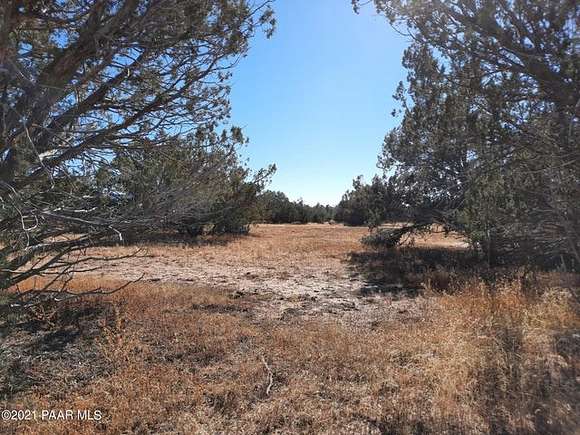 12.08 Acres of Recreational Land & Farm for Sale in Seligman, Arizona