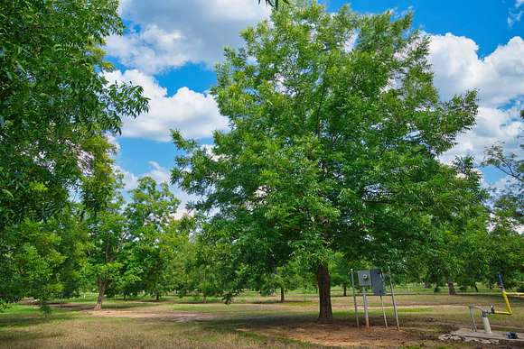 358.21 Acres of Improved Agricultural Land for Sale in Albany, Georgia