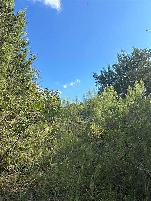 1.093 Acres of Residential Land for Sale in Bluff Dale, Texas