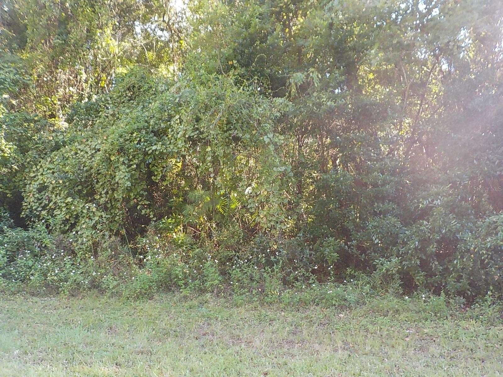 0.25 Acres of Residential Land for Sale in Citrus Springs, Florida