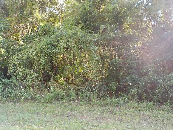 0.25 Acres of Residential Land for Sale in Citrus Springs, Florida