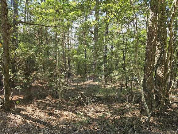 0.26 Acres of Residential Land for Sale in Brookeland, Texas