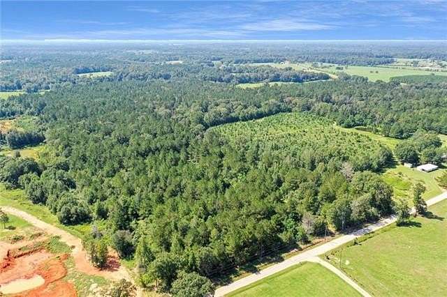 48.43 Acres of Recreational Land for Sale in Mount Hermon, Louisiana