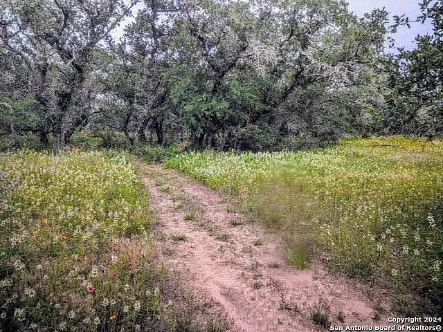 2 Acres of Residential Land for Sale in Natalia, Texas