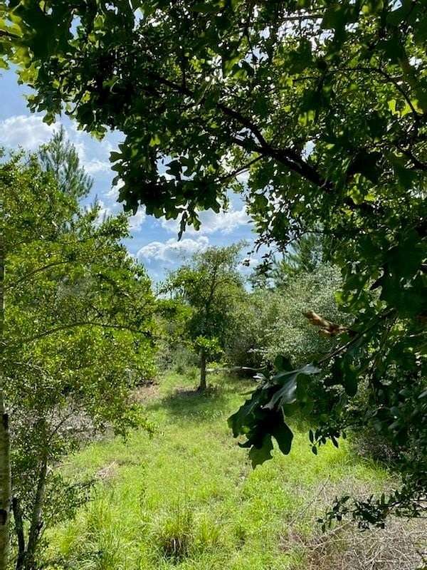 5.06 Acres of Land for Sale in Bastrop, Texas