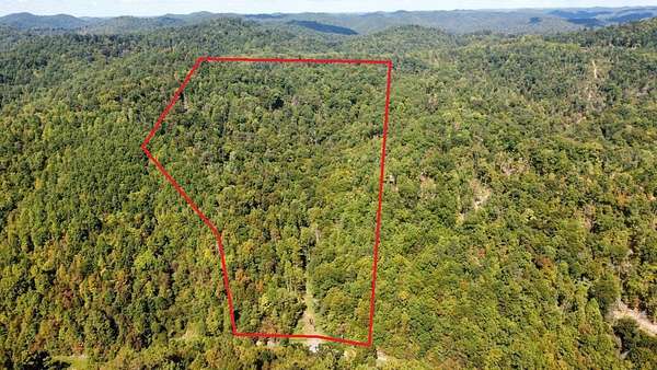20 Acres of Land for Sale in Woollum, Kentucky